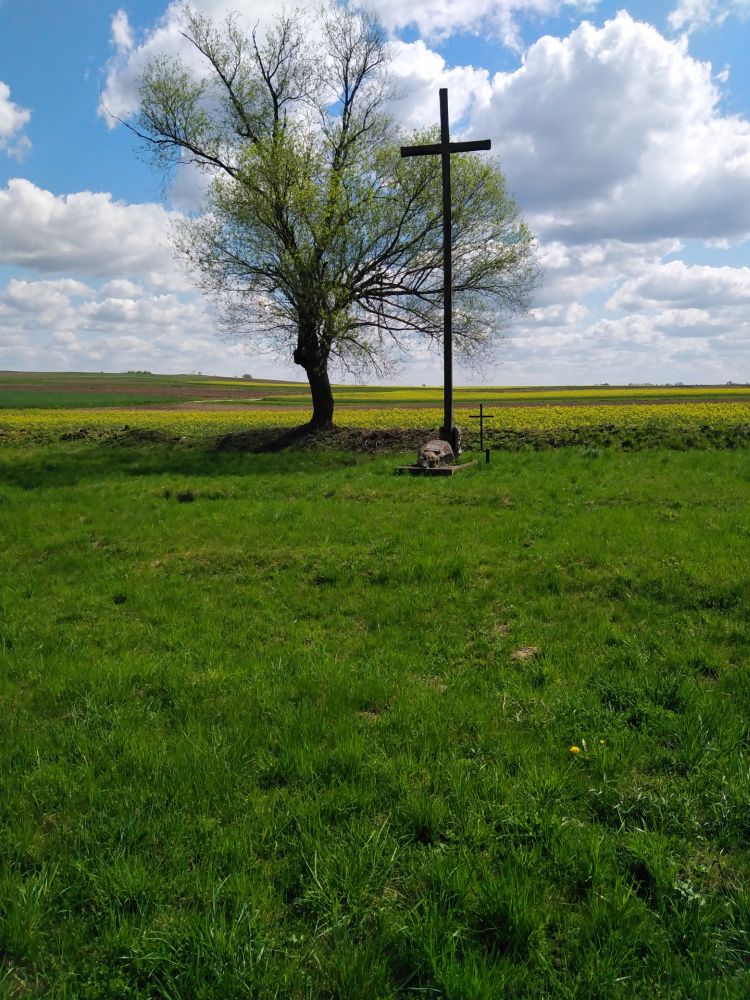 Polacy żołnierze Wielkiej Wojny pochowani na cmentarzu wojennym w